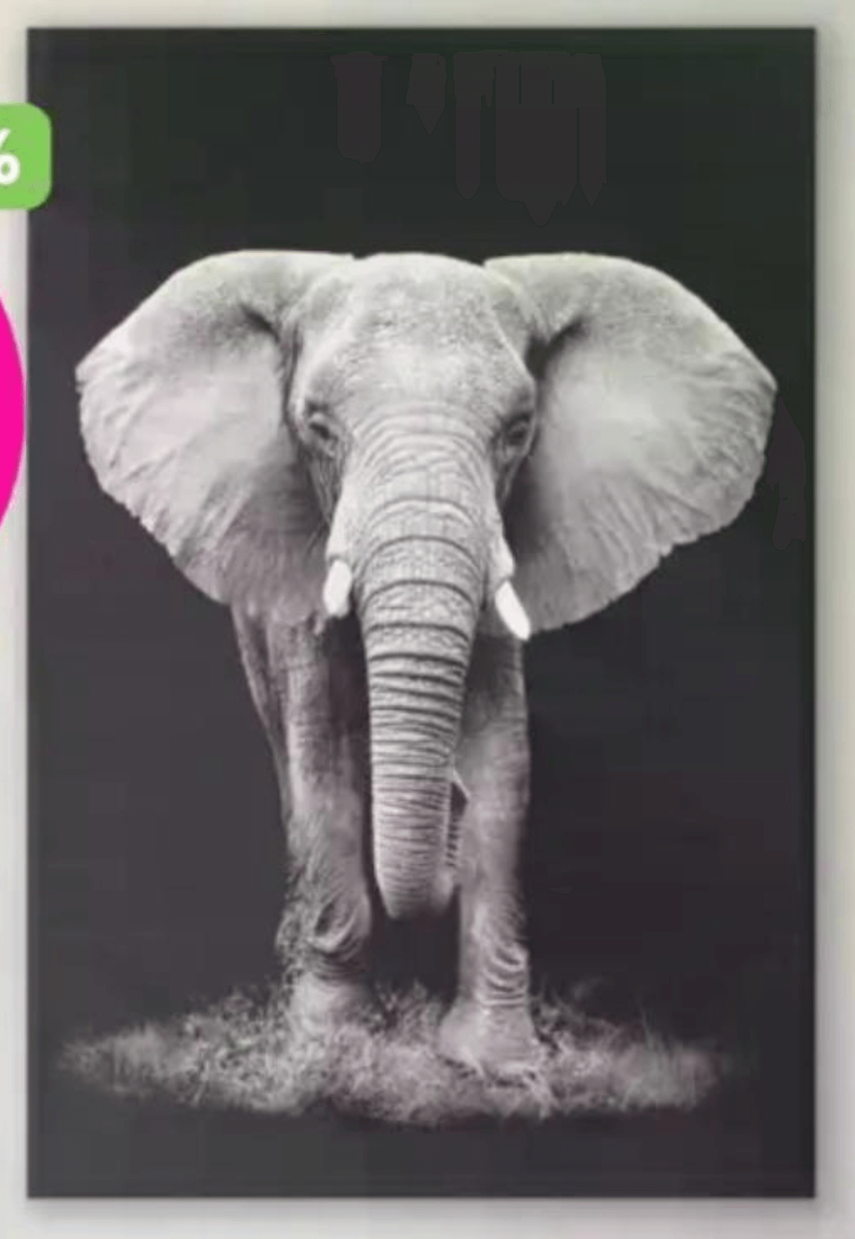 Slika „DARK ELEPHANT" - Akcija v trgovini Mömax