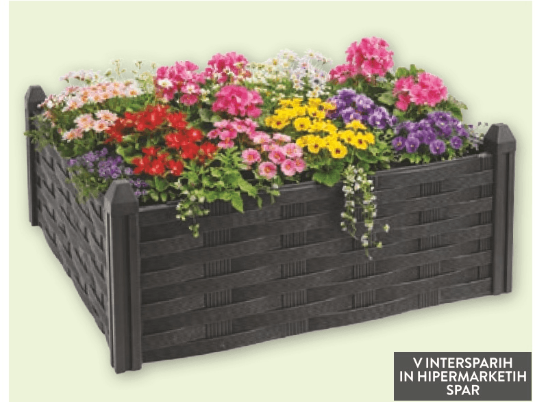 Vrtna greda - Akcija v trgovini Spar