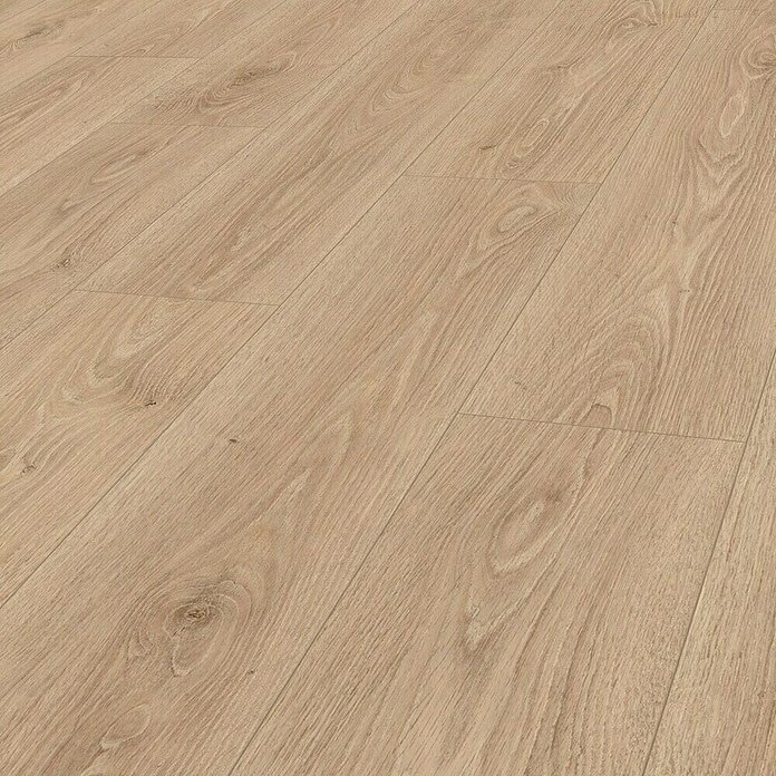 Laminat Trevi 2,957 m² Akcija v trgovini Obi