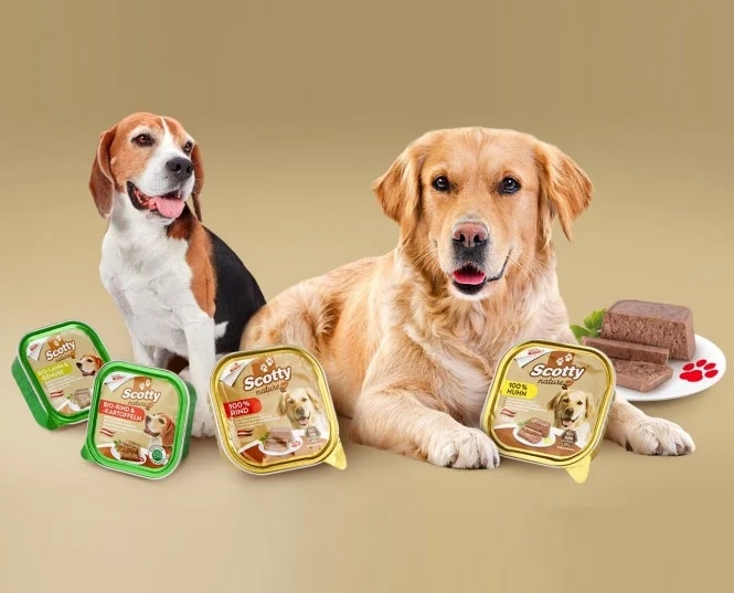 Scotty nature HRANA ZA PSE raca 2,5 kg - Akcija v trgovini Spar