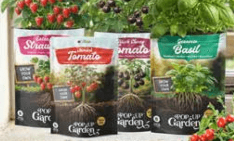 Semena jagod, bazilike in paradižnika - Akcija v trgovini Spar