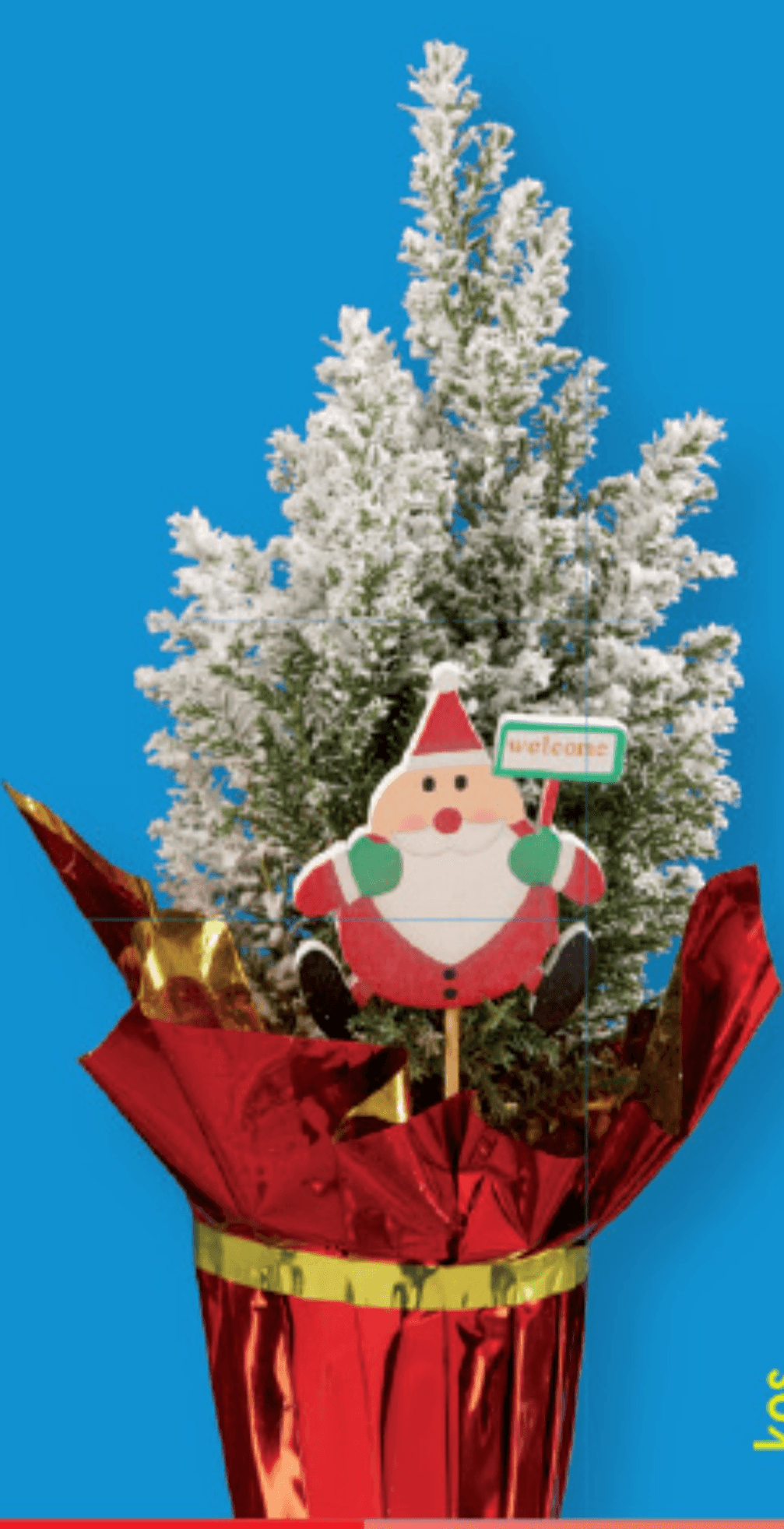 Iglavec - Akcija v trgovini Lidl