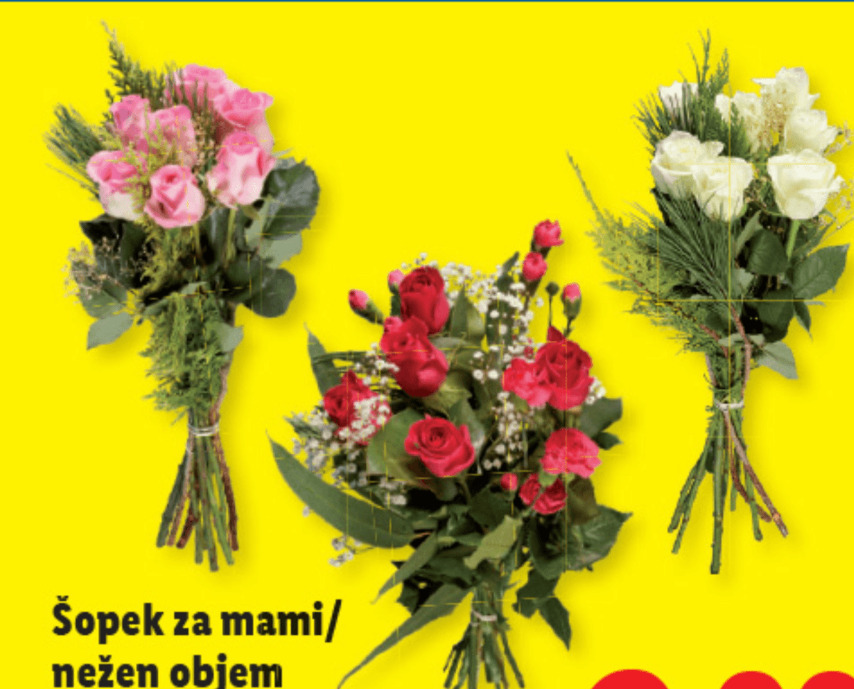 Šopek za mami/nežen objem - Akcija v trgovini Lidl