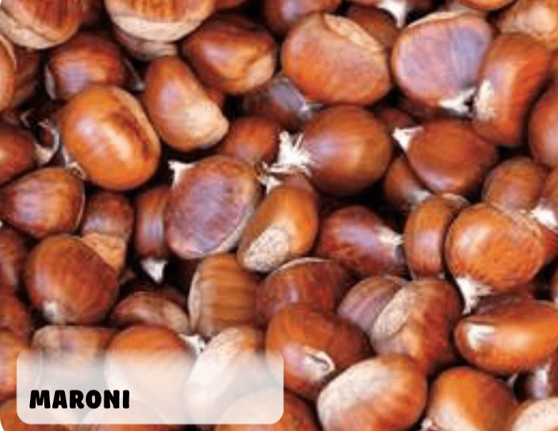 Maroni - Akcija v trgovini E.Leclerc