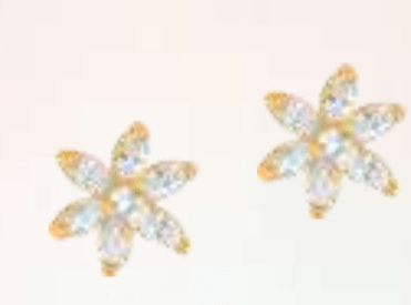 uhani - Akcija v trgovini E.Leclerc