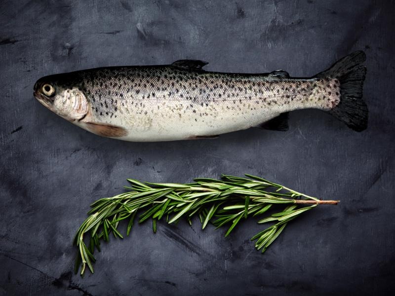 File postrvi/šarenka - Akcija v trgovini E.Leclerc