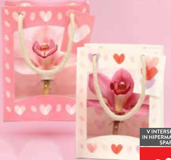 Cvet orhideje - Akcija v trgovini Spar