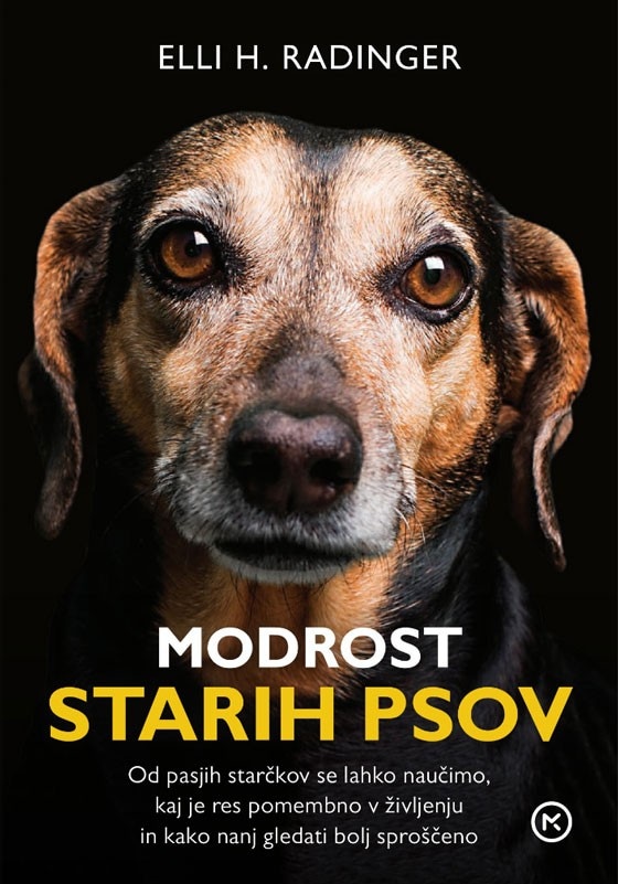 Modrost starih psov Elli H. Radinger - Akcija v trgovini Lidl