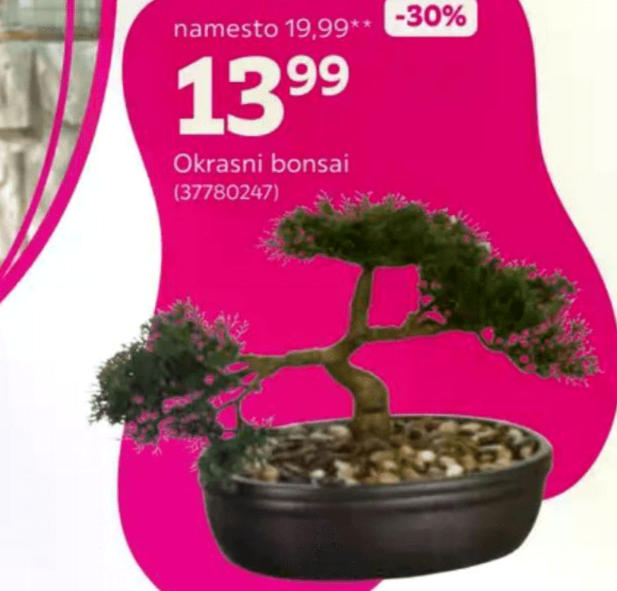 Okrasni bonsai - Akcija v trgovini Mömax