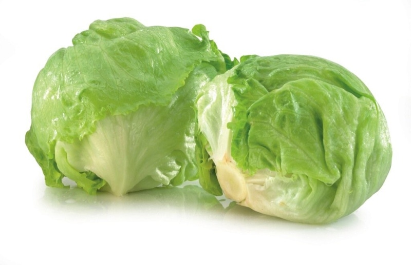 Solata Ledenka Cena za kos - Akcija v trgovini Jager