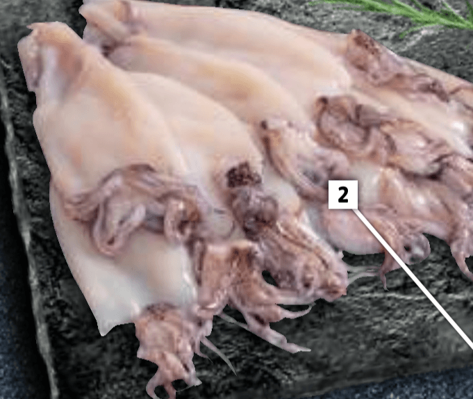 Patagonski lignji - Akcija v trgovini E.Leclerc