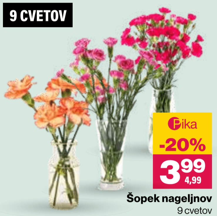Šopek nageljnov 9 cvetov - Akcija v trgovini Mercator