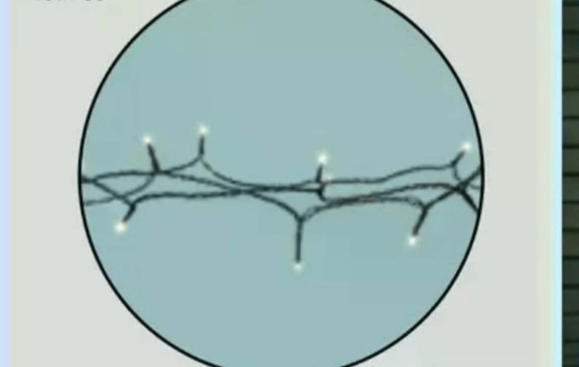LED solarna svetilka Blitz - Akcija v trgovini Pevex