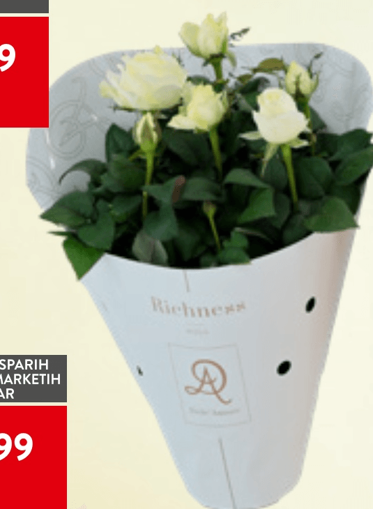 Vrtnica Richness - Akcija v trgovini Spar