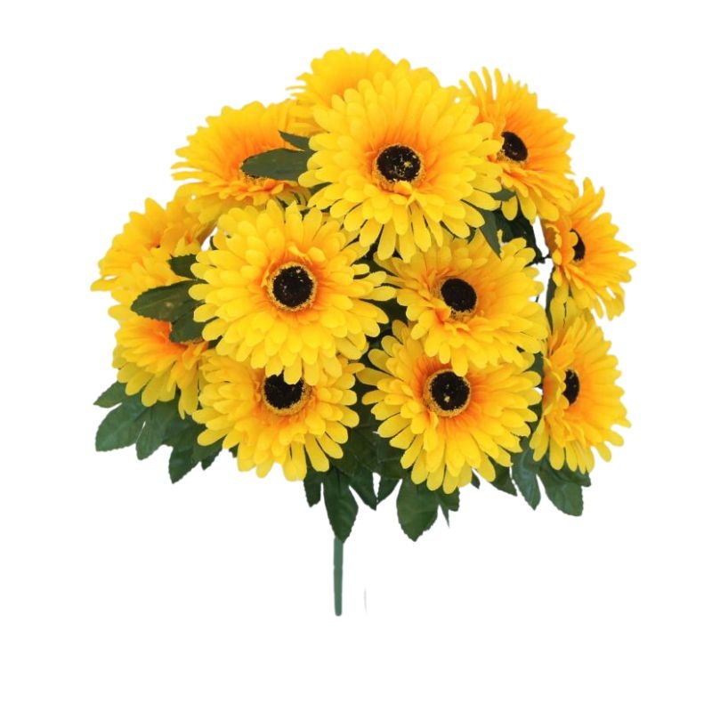 Gerbere 1 šopek - Akcija v trgovini Hofer