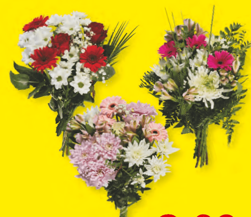 Veliki šopek za dan žena - Akcija v trgovini Lidl