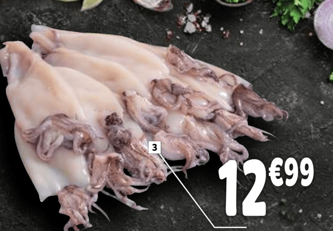 Patagonski lignji - Akcija v trgovini E.Leclerc