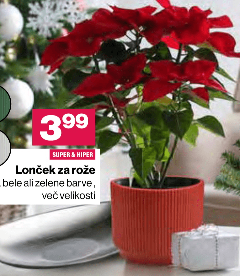 Lonček za rože - Akcija v trgovini Mercator