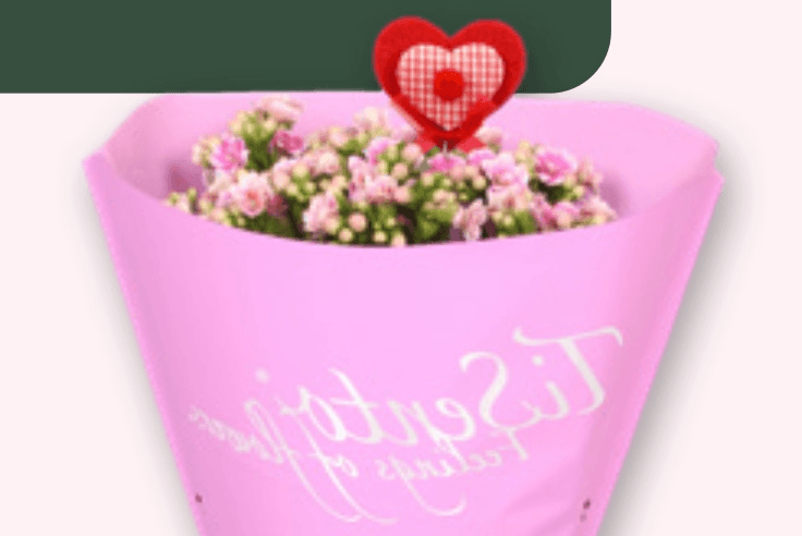 Kalanhoja - Akcija v trgovini Spar