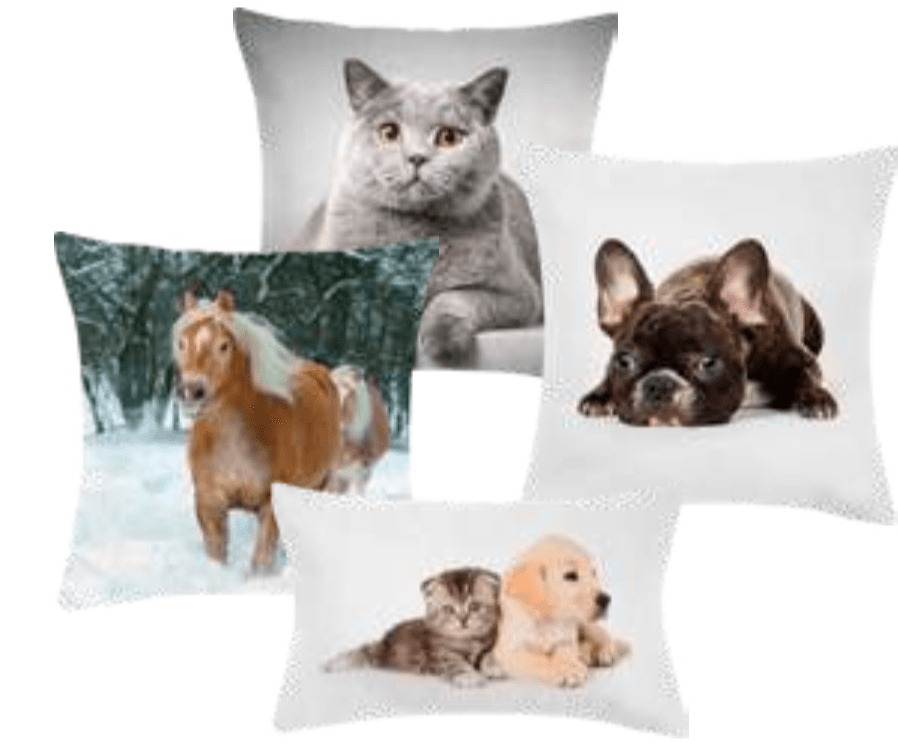 Okrasna blazina 30 x 50 cm ali 40 x 40 cm Tisaia - Akcija v trgovini E.Leclerc