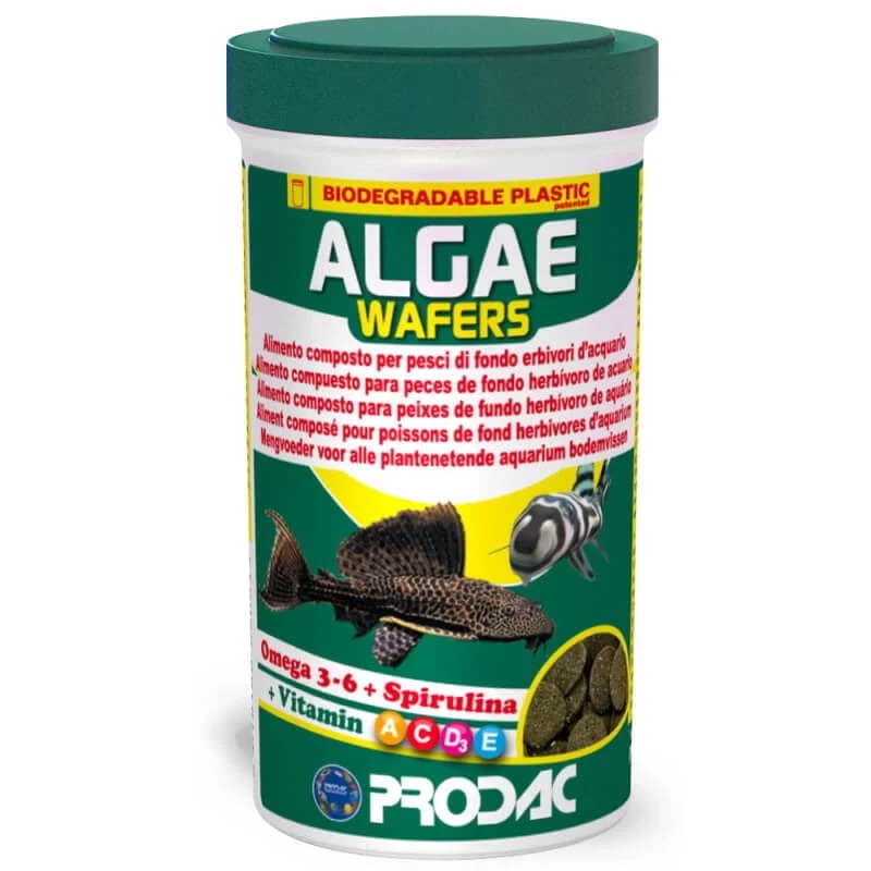 Prodac Algae Wafer hrana za talne ribe Akcija v trgovini Mr. Pet