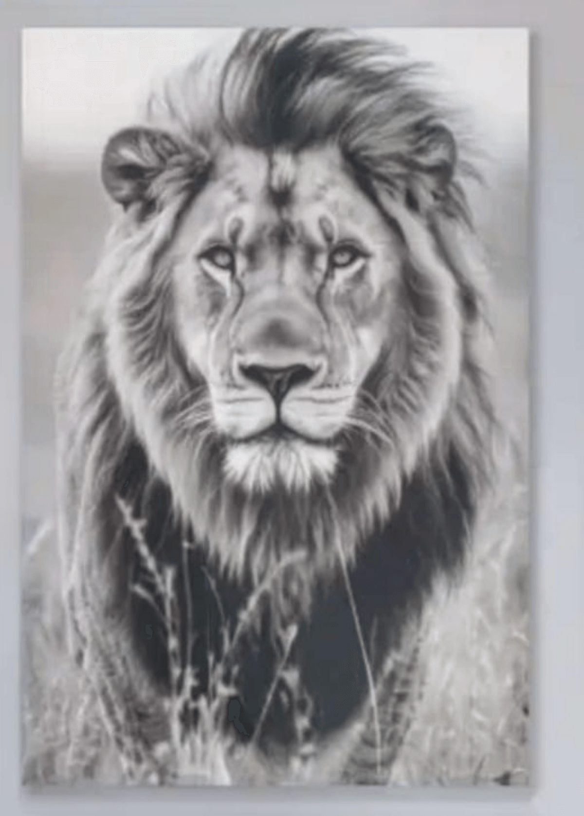 Slika „SAVANNAH" - Akcija v trgovini Mömax