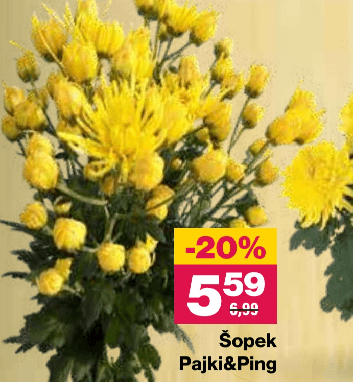 Šopek Pajki&Ping - Akcija v trgovini Mercator