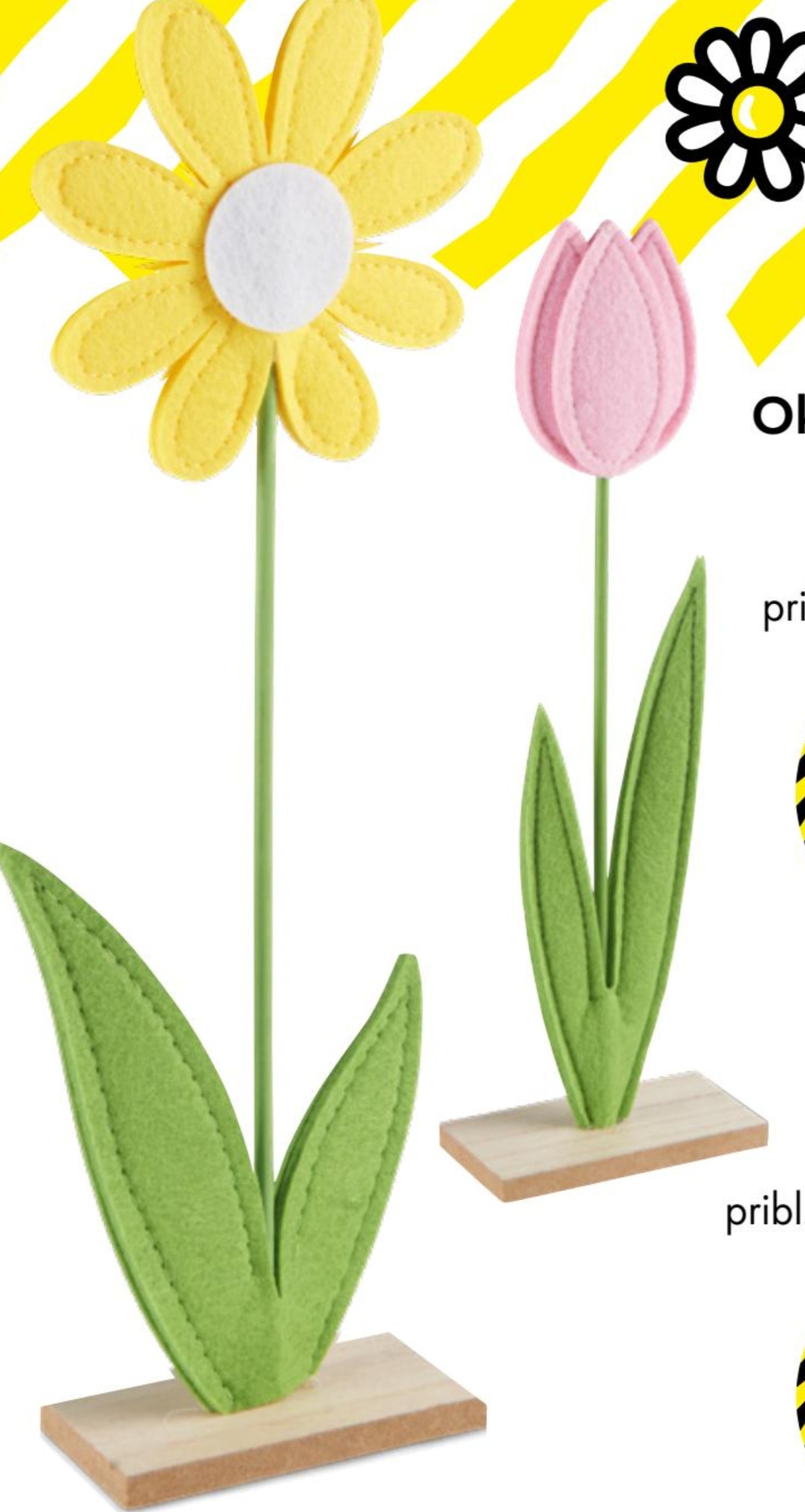 Okrasna roža - Akcija v trgovini Tedi