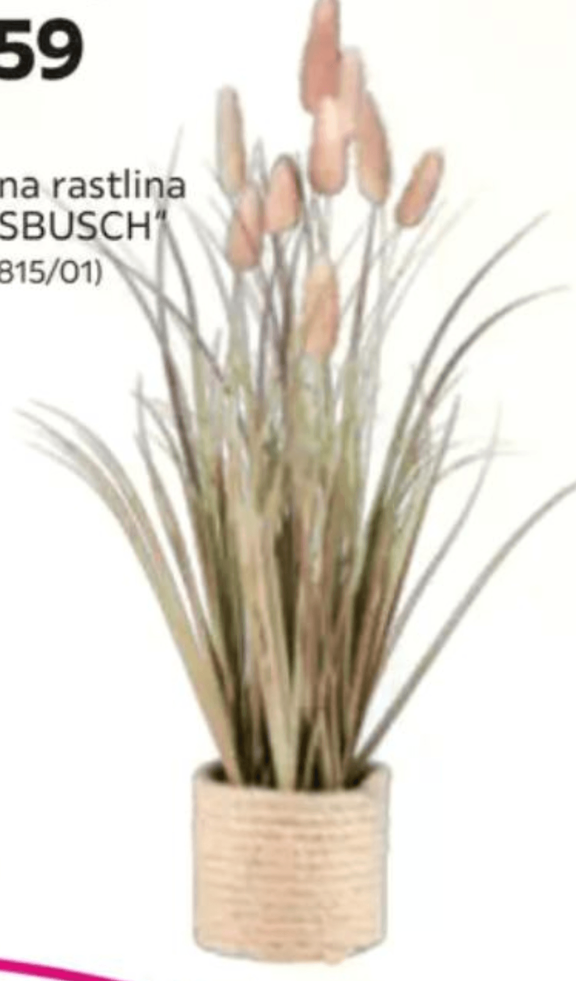 Umetna rastlina „GRASBUSCH" - Akcija v trgovini Mömax