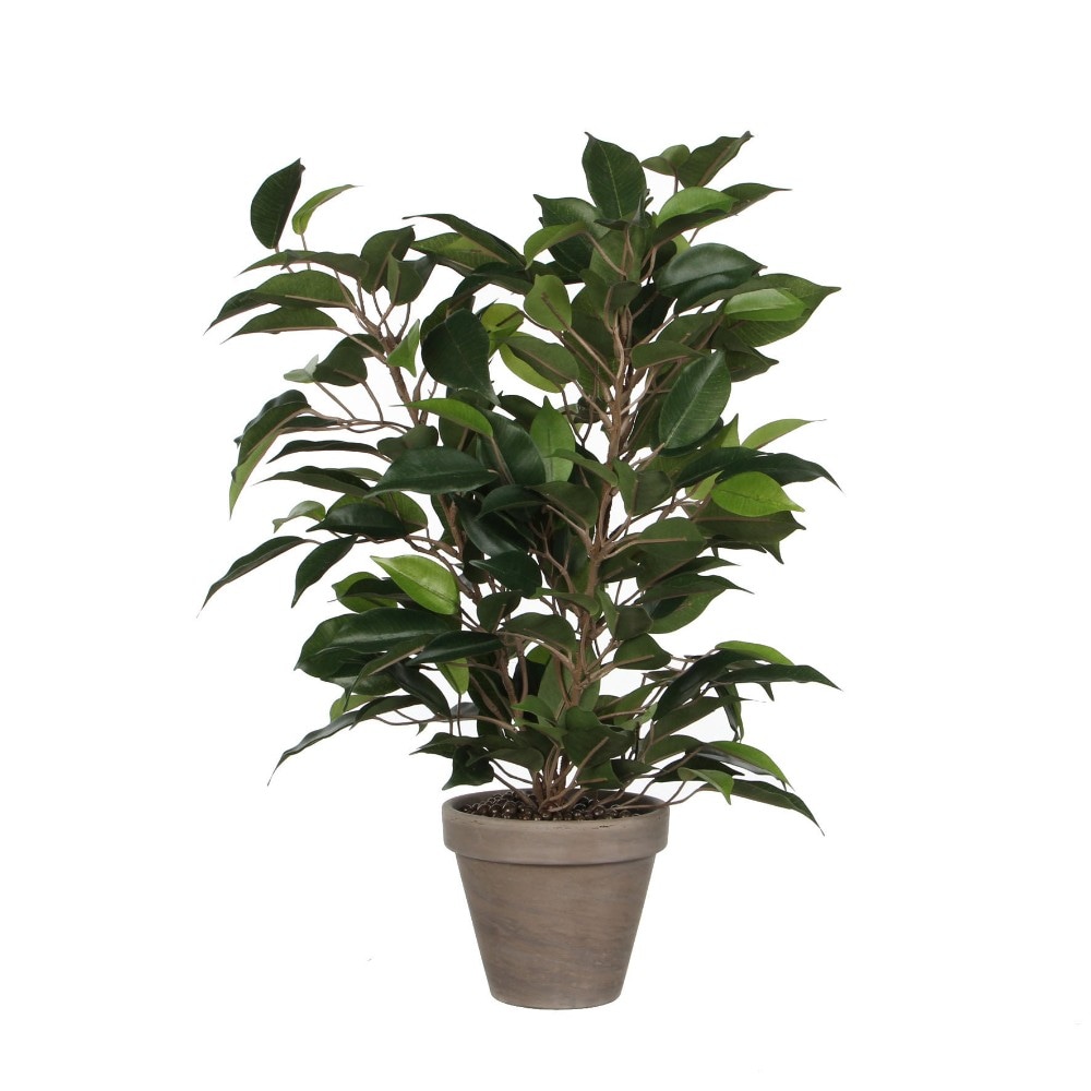 Umetna rastlina Madsen D55xØ40 cm Akcija v trgovini Jysk