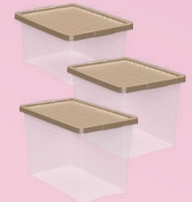 Zaboj za shranjevanje s pokrovom - Akcija v trgovini E.Leclerc