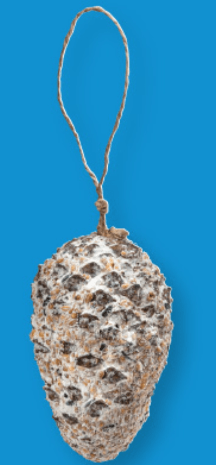 Hrana za ptice v obliki storža - Akcija v trgovini Lidl