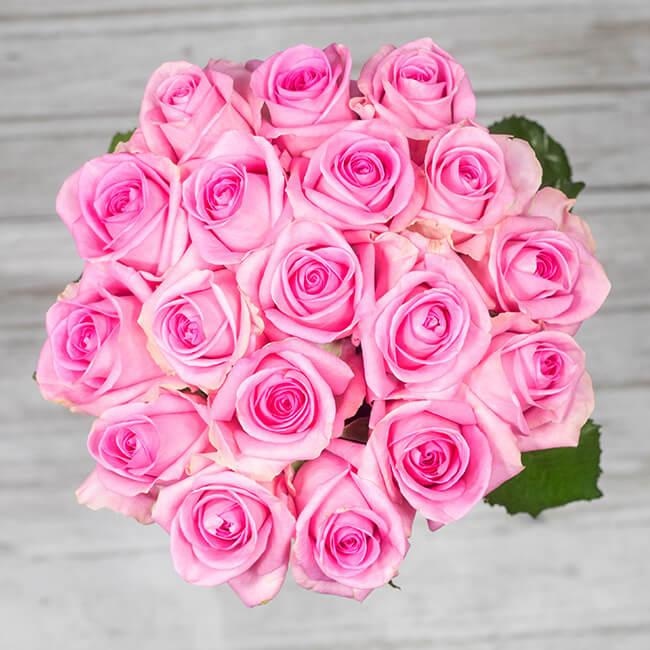 Roza šopek - Akcija v trgovini Spar