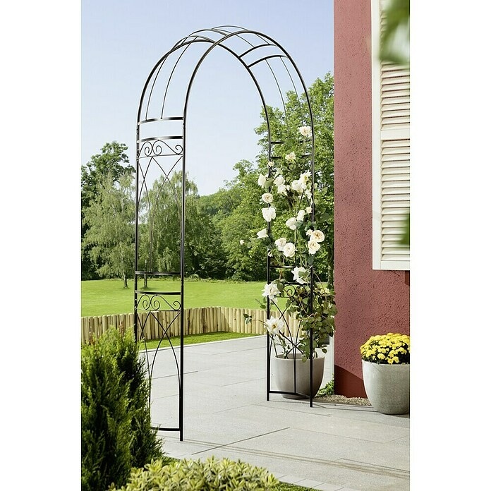 Lok za vrtnice 140 x 36 x 240 cm - Akcija v trgovini Pevex