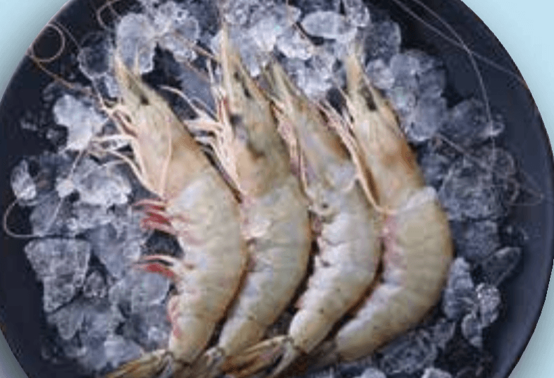 Kozice Black Tiger - Akcija v trgovini Mercator