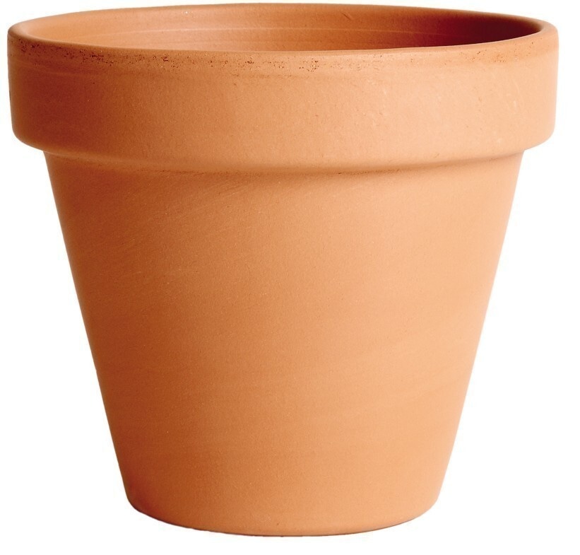 Lonec cvetlični Torino Fi 31 x h 35 cm Edelman - Akcija v trgovini Jager