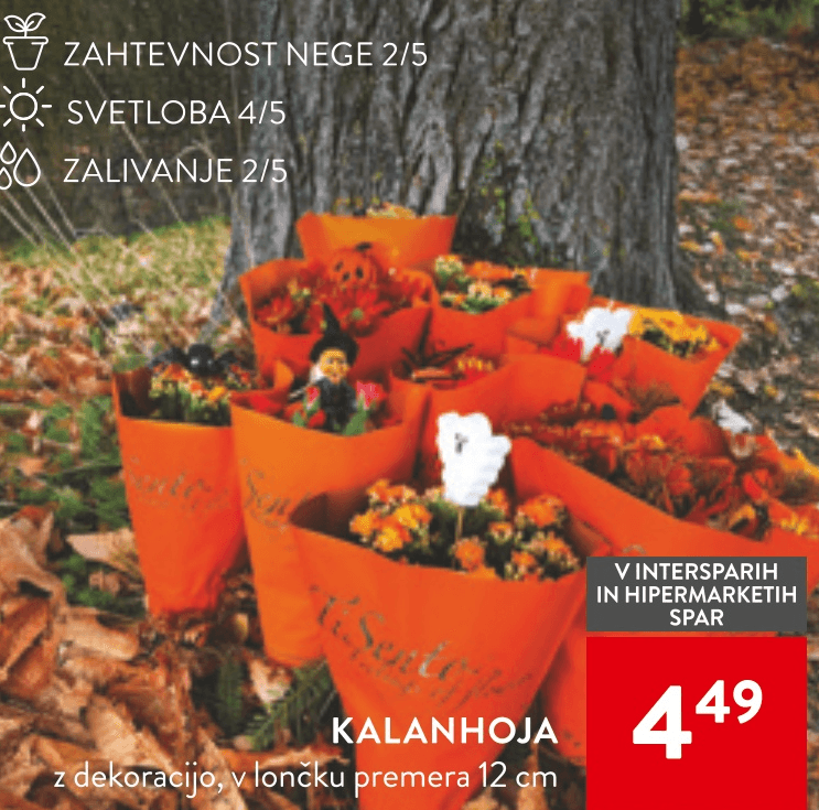 Kalanhoja - Akcija v trgovini Spar