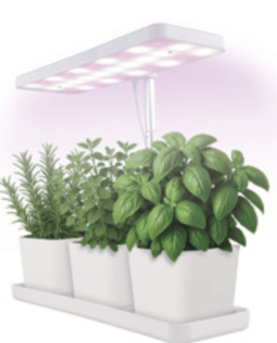 Luč za vzgojo zelišč Emos - Akcija v trgovini Spar