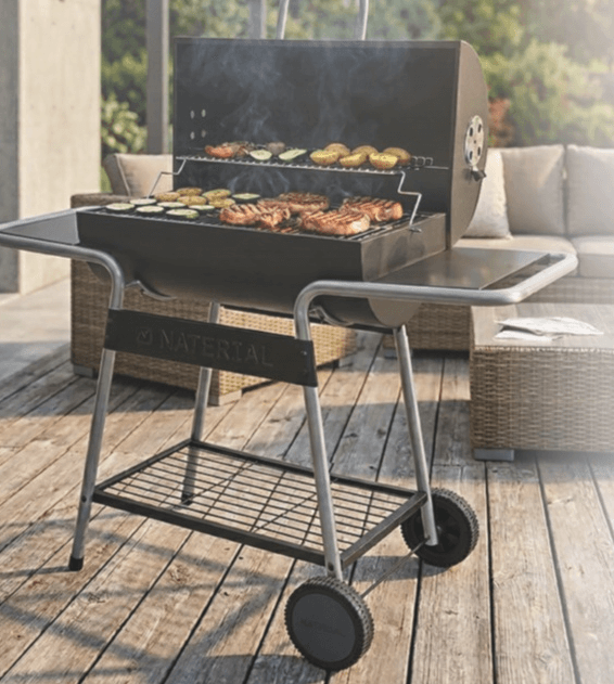 Žar na oglje Naterial Talos VZ - Akcija v trgovini Merkur