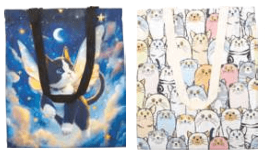 Nakupovalna vrečka - Akcija v trgovini E.Leclerc