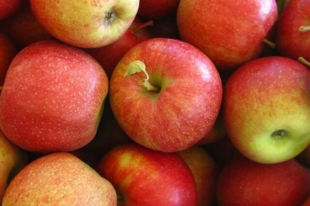 Slovenska jabolka Carjevič 5 kg - Akcija v trgovini Hofer