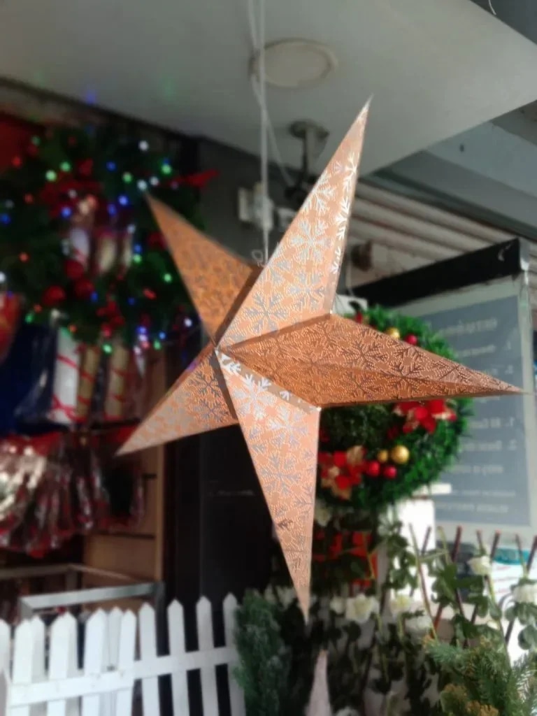 Izbrani Božični izdelki X'MASS STAR - Akcija v trgovini Mercator