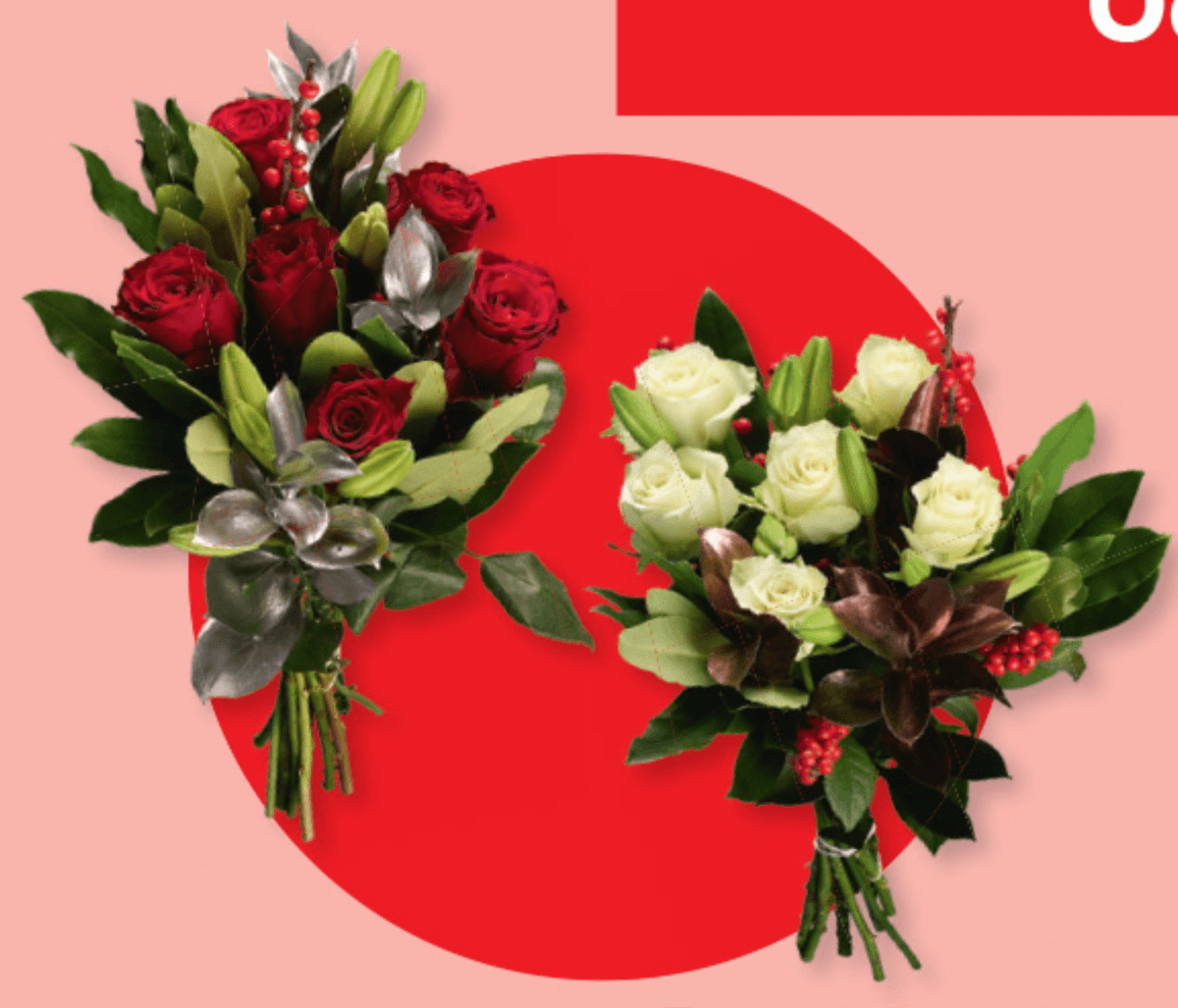 Ekskluzivni šopek za mami - Akcija v trgovini Lidl