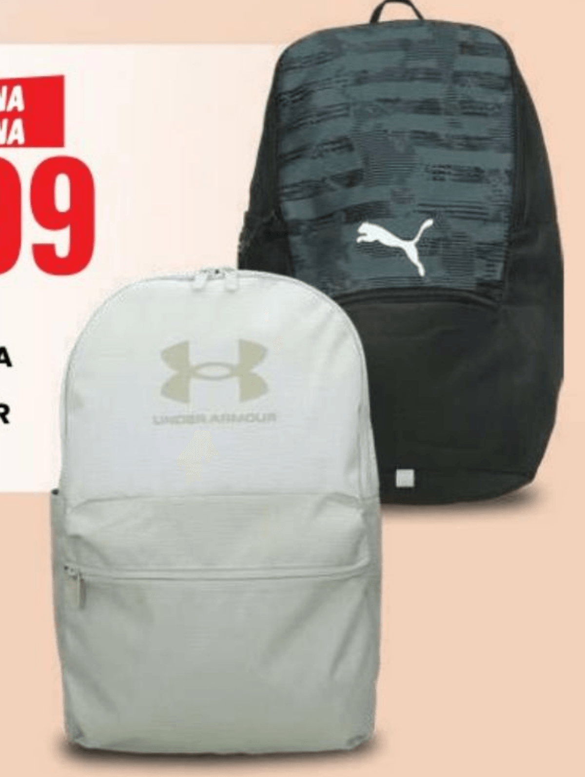 Nahrbtnik za prosti čas Puma, Under Armour - Akcija v trgovini Eurospin