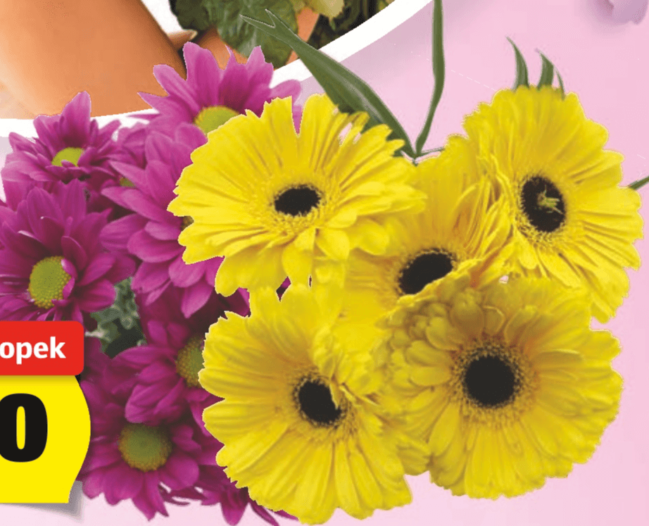 Rezano cvetje - Akcija v trgovini Hofer