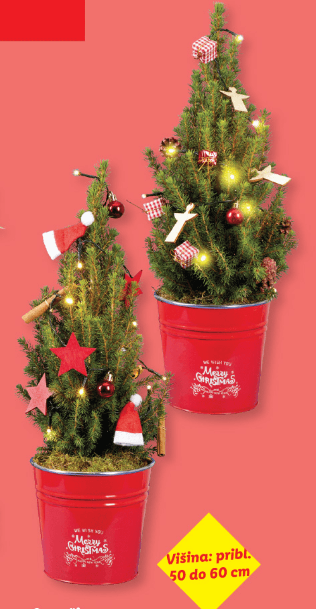 Smrečica - Akcija v trgovini Lidl