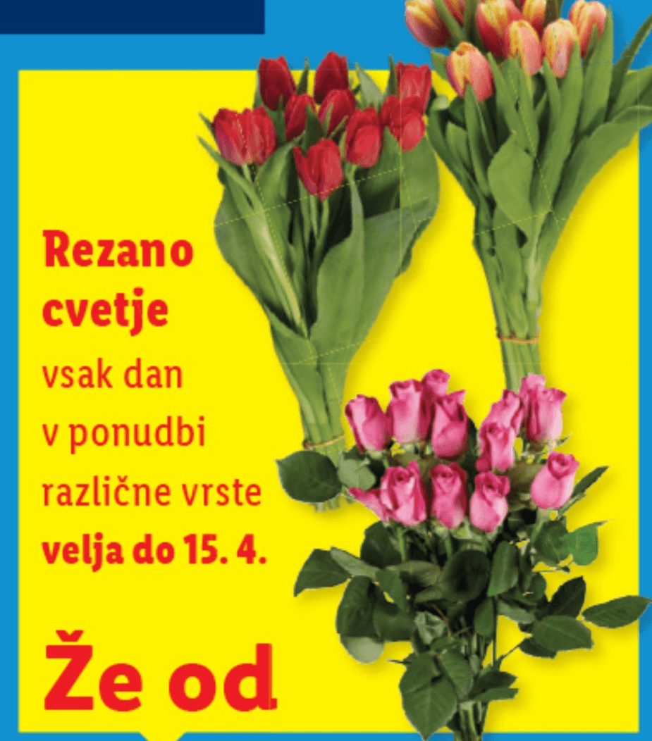 Rezano cvetje - Akcija v trgovini Lidl