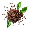 Kategorija - Kave in čaji