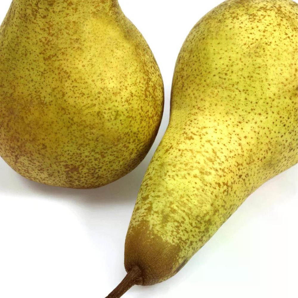 Slovenske Hruške Conferance 1 kg - Akcija v trgovini Jager