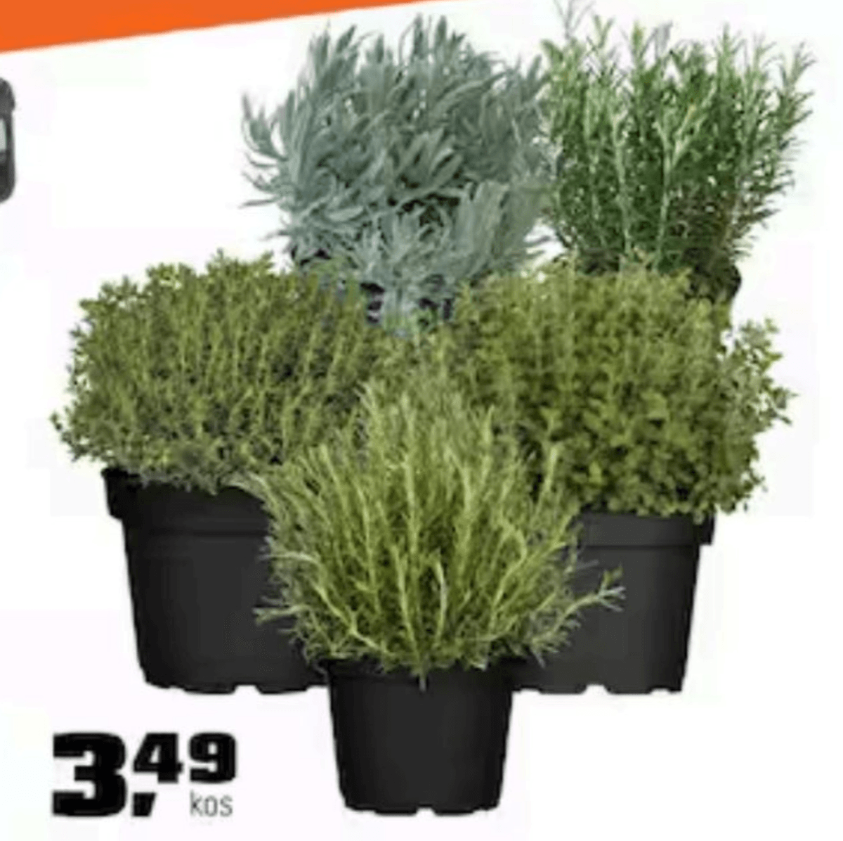 Mešanica mediteranskih začimb - Akcija v trgovini Obi